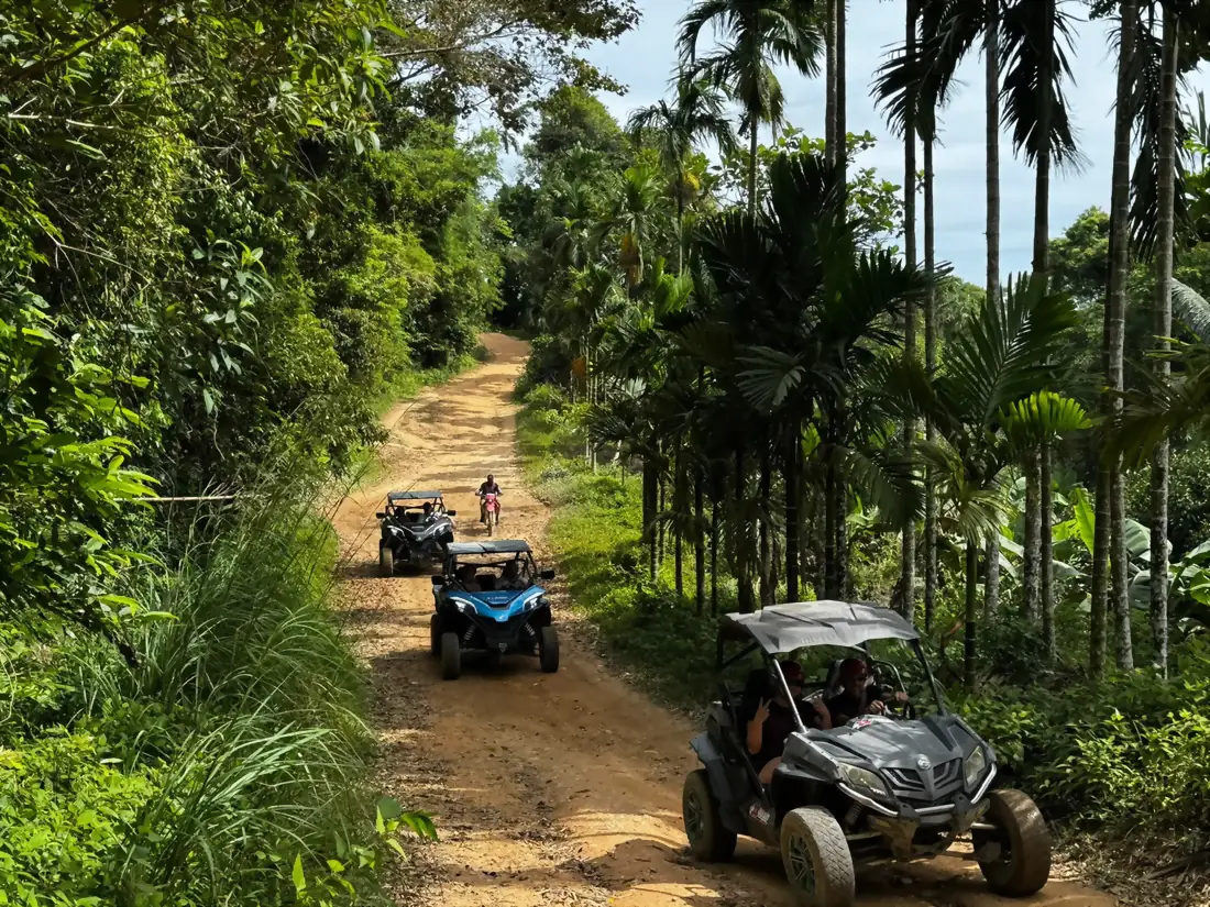 Buggies driving down a jungle track lined with palm trees in Koh Samui