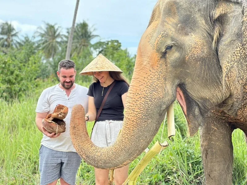 Samui Elephant Home - couple chapeaux coniques