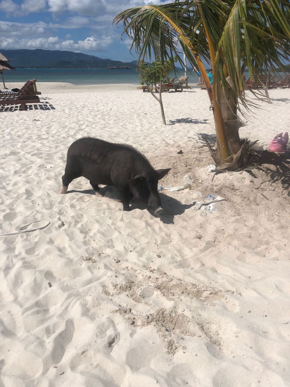 Koh Tan Panorama