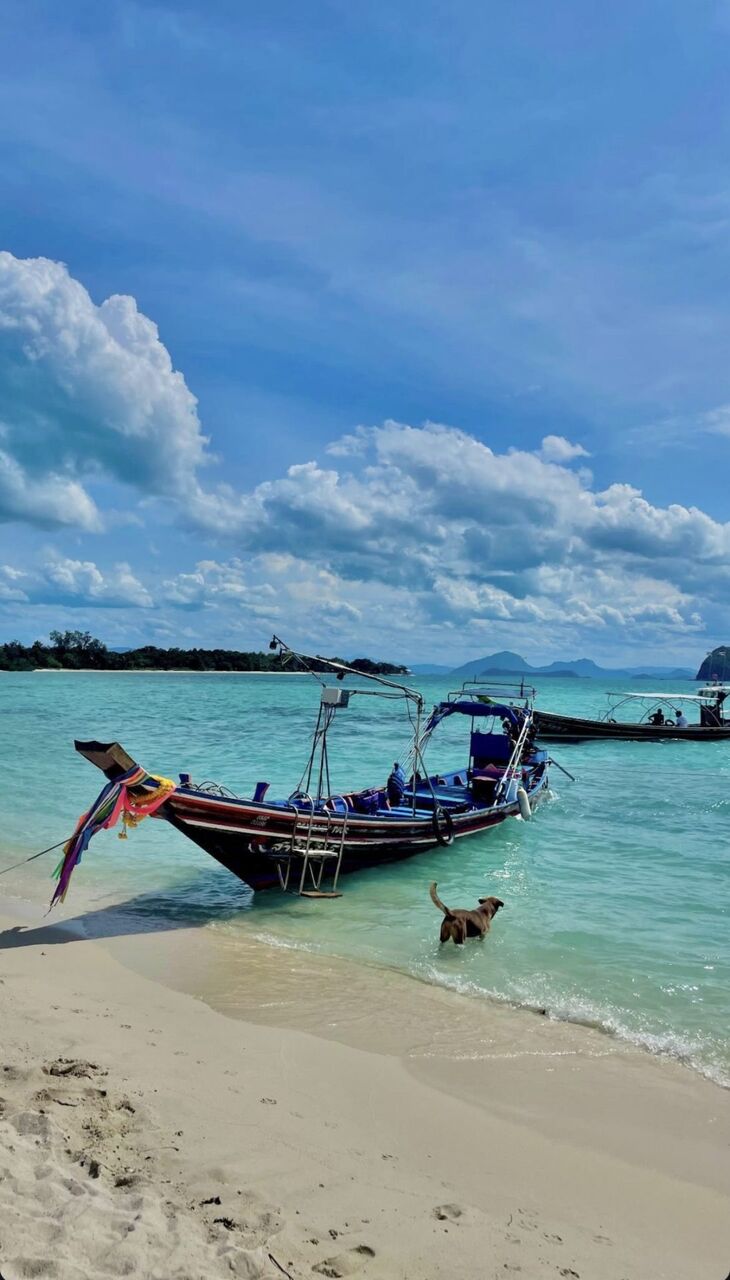Koh Tan Snorkeling