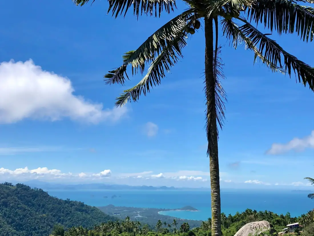 Panoramic viewpoint over the sea and coconut trees from the heights of Koh Samui